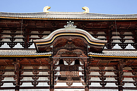 大佛,东大寺,奈良,日本