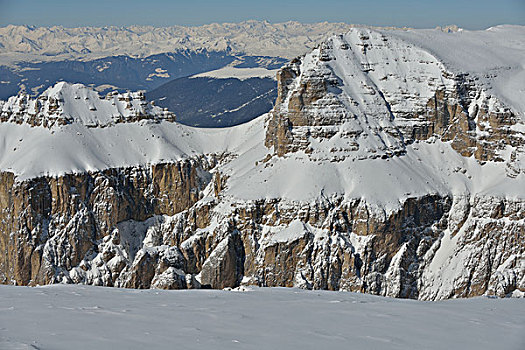 自然,冬季风景,树,初雪