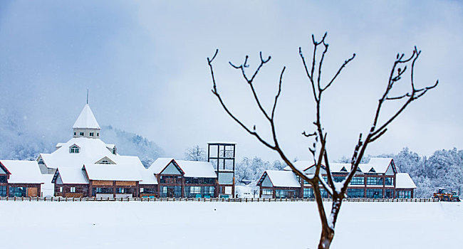 西岭雪山大雪的美丽风景