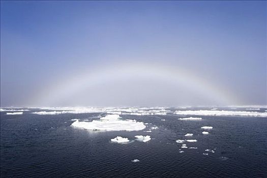 上方,浮冰,斯匹次卑尔根岛,挪威