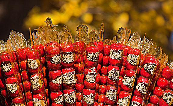 北京天安门广场花坛