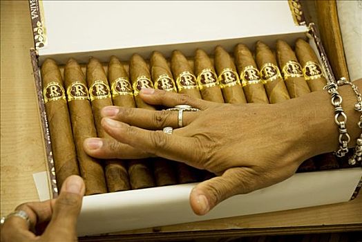 古巴,哈瓦那,分类,包装,手制,雪茄,雪茄工厂