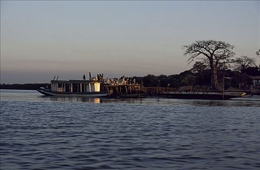 冈比亚,河,河船,停泊,挨着,一个,乡村,质朴,堤岸
