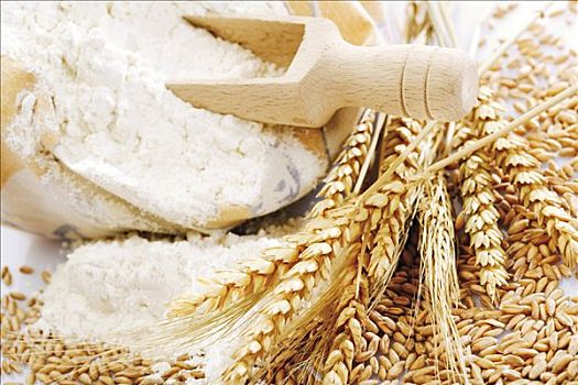 面粉,袋,木质,量匙,穗,干燥,小麦,松,小麦作物