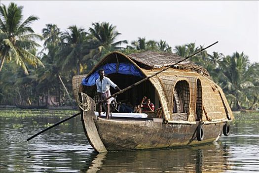 特色,稻米,船,死水,运河,海岸线,和谐,游客,喀拉拉,印度