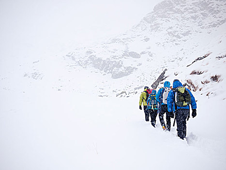 登山,团队,走,初雪,冬天,探险,西部,意大利阿尔卑斯山,欧洲