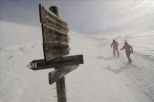 路标,北欧,越野滑雪者,阿尔卑斯山,高,山谷,意大利,欧洲