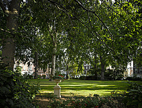 公园,花园,曼彻斯特,伦敦