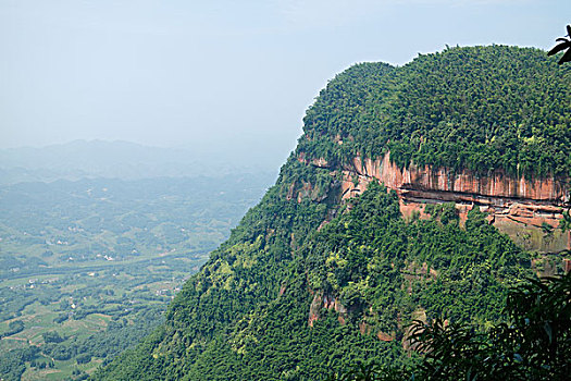 陡峭的悬崖峡谷,茂密的竹子