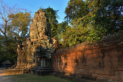 柬埔寨吴哥古城塔普伦寺寺庙和树