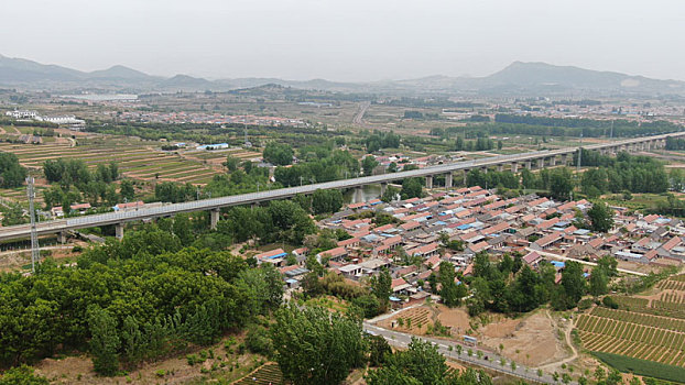 山东省日照市,万亩茶园染绿乡村大地,茶产业助农民致富