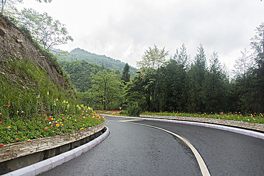 鲜花公路