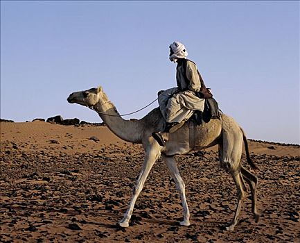 晚霞,骑骆驼,沙漠,靠近,古老,金字塔,麦罗埃,东方,尼罗河