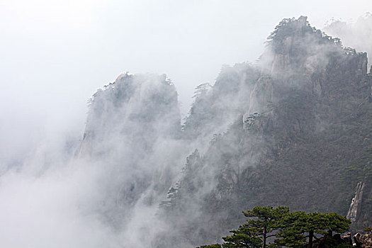 黄山,奇石,云海,壮观,名胜,风景,0021