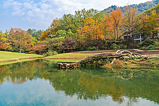 杭州太子湾公园秋景