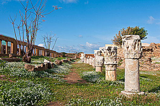 古老,罗马,浴室,阿尔及利亚,非洲
