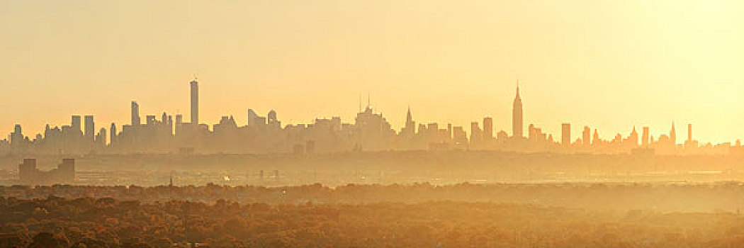 纽约,日出,剪影,公园,雾,全景