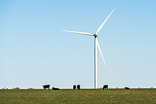 牧场和风车发电机