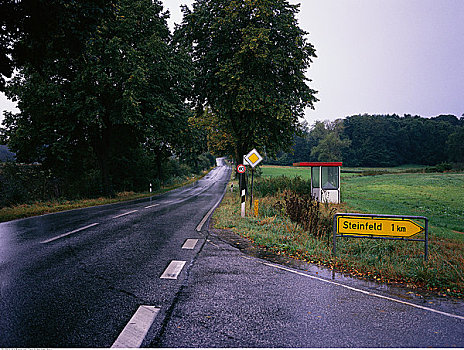 道路,树,德国