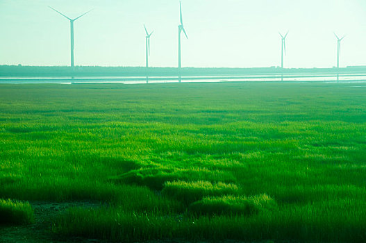 台湾台中西海岸景点高美湿地公园