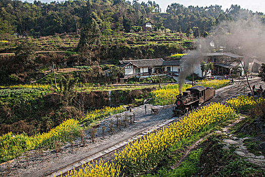 行驶在四川乐山市犍为县嘉阳小火车蜜蜂岩的小火车