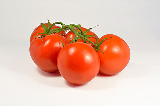 有机,自然,西红柿