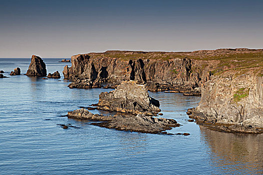 岩石,岸边,看,省立公园,纽芬兰,拉布拉多犬,加拿大