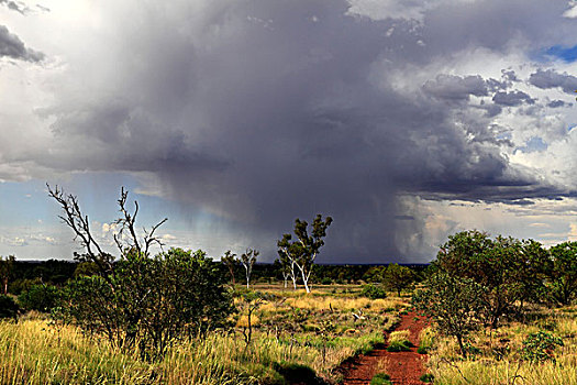 云,远景,雨,风暴,偏远地区,风景,西澳大利亚州