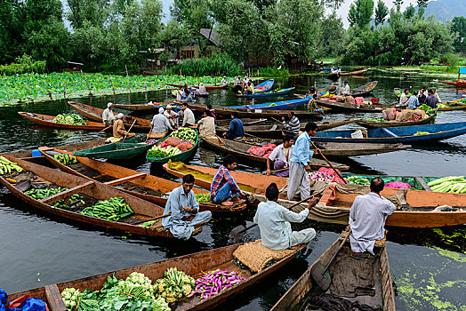 船,水上市场,湖,斯利那加,查谟-克什米尔邦,印度,亚洲