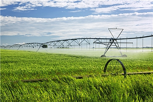 灌溉,设备,农田