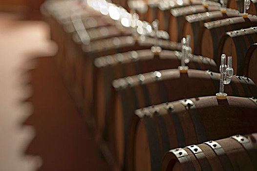 排,橡木桶,发酵,葡萄酒