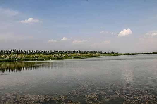 宁夏银川鸣翠湖国家湿地公园
