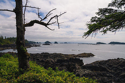 遥远,沿岸,风景,岛屿,悬崖,云