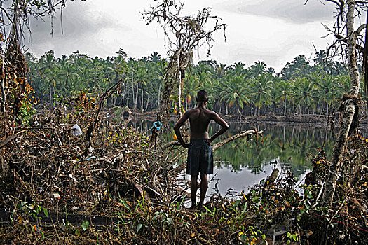 看,许多,残骸,靠近,希卡杜瓦,洗,泻湖,印度洋,海啸,2004年,斯里兰卡,一月,2005年