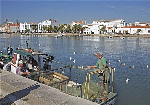 渔船,河,塔维拉,阿尔加维,葡萄牙