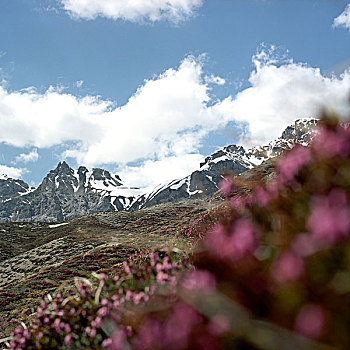 山,瑞士