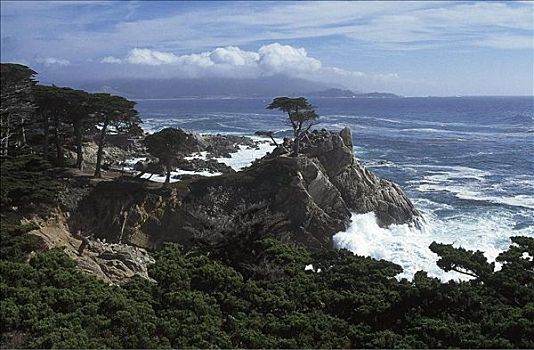孤单,柏树,树,石头,海洋,蒙特里,加利福尼亚,美国,北美
