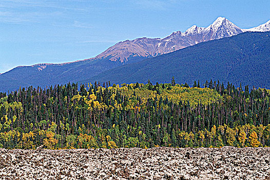 河谷,火山岩,床,纪念,省立公园,不列颠哥伦比亚省,加拿大