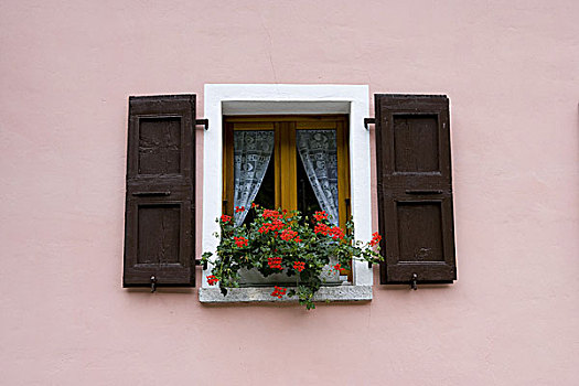 房屋外观,粉色,特写,窗户