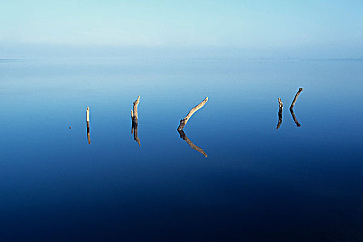 树桩,枯木,湖,图林根州,德国,欧洲