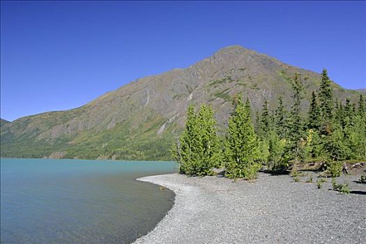 肯奈半岛,本垒打,阿拉斯加,美国