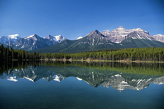 加拿大,艾伯塔省,落基山脉,班芙国家公园,山峦,反射,赫伯特湖