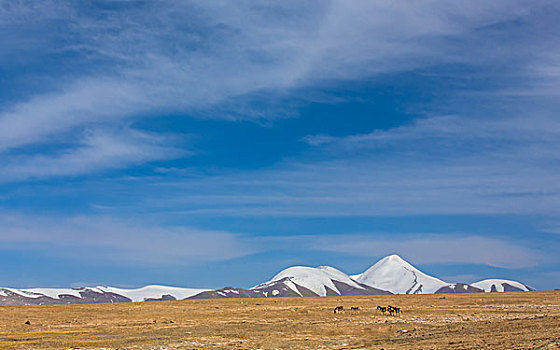 昆仑山玉珠峰美景