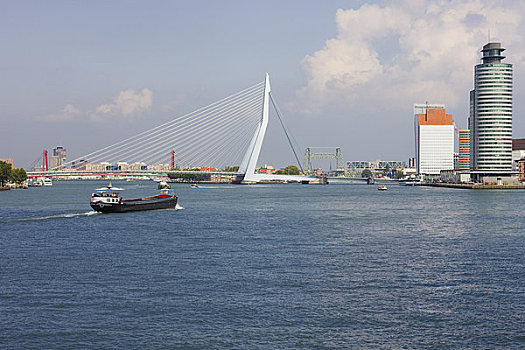 桥,港口,鹿特丹,荷兰