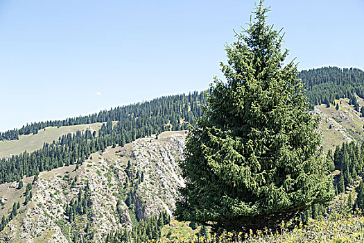 新疆喀拉峻草原峡谷