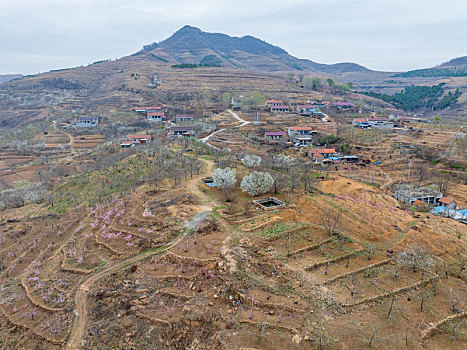 山东蒙阴樱桃峪