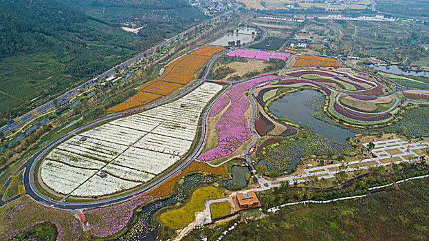 浙江杭州余杭千花里花海