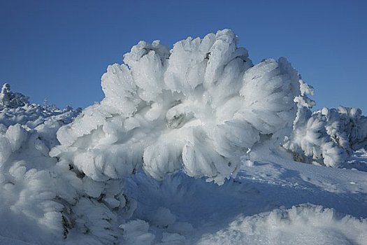 霜,山