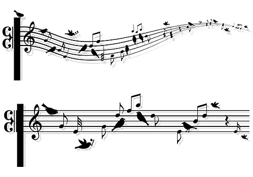 音乐,音符,鸟,矢量