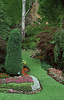 植物,花园,宝翠花园,维多利亚,不列颠哥伦比亚省,加拿大